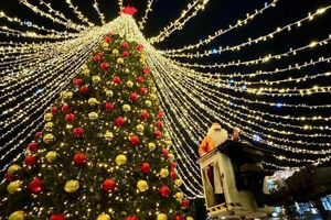 В Зеленоградске пройдёт «церемония зажжения звезды на главной городской ёлке» (видео)