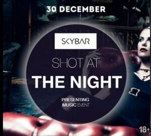Shot At The Night