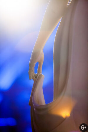 «Васн в кругу романтиков на органных полях Германии и Австрии»