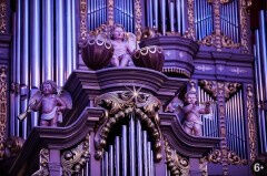 Кантовские дни. Популярный орган