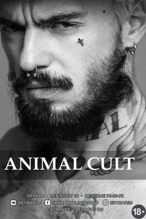 Animal Cult