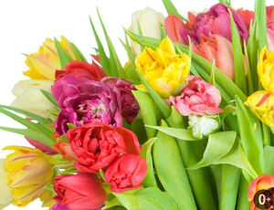 «О любви…» 