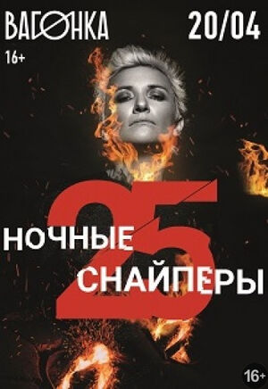 «Ночные снайперы»