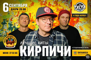 Кирпичи