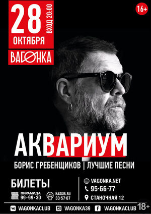 Борис Гребенщиков и «Аквариум»