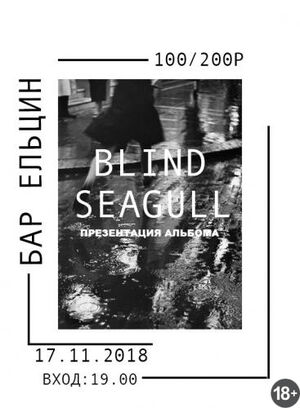 Blind Seagull