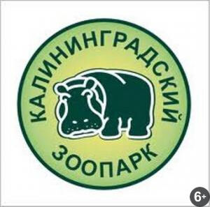 Музыкальный вечер у фонтана. «Аллегро»