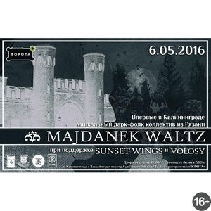 «Majdanek Waltz» и «Sunset Wings»	