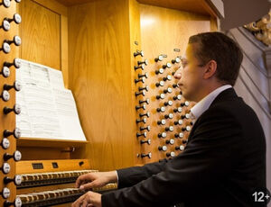 Несерьезный орган