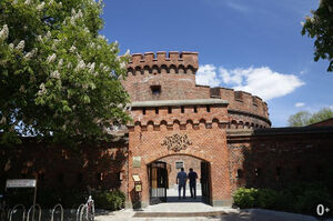 «С аккордеоном по миру»