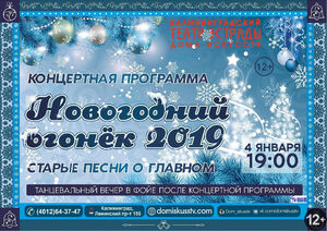 Новогодний огонек 2019