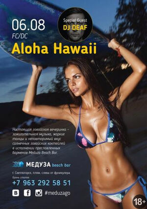 Aloha Hawaii