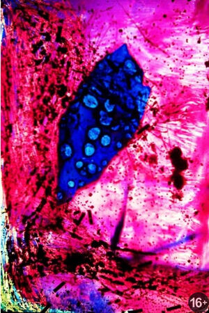 SoundArtLab: Sajjra, Gabriel Castillo (Перу), Dr. Switchoff