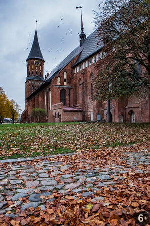 «Времена года»