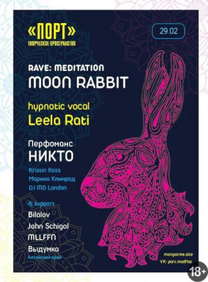 Rave Meditation Moon Rabbit