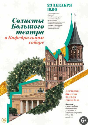 Солисты Большого театра 