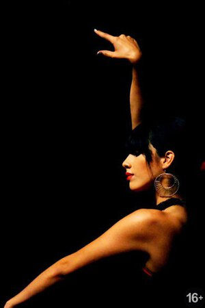 «El patio flamenco»