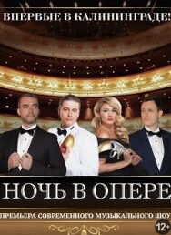 «Ночь в опере»