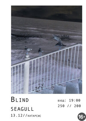 Blind Seagull