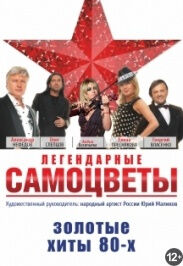 ВИА «Самоцветы»