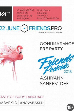 Pre party friends. Pro