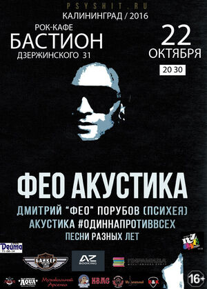 Дмитрий «Фео» Порубов. Акустика