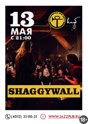 ShaggyWall