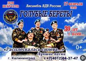 «Голубые береты»