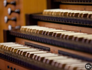 Орган на двоих