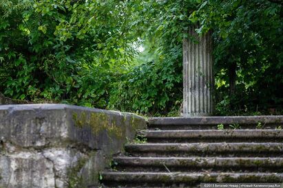 По следам Первой мировой: на самом крупном захоронении российских воинов нет даже таблички