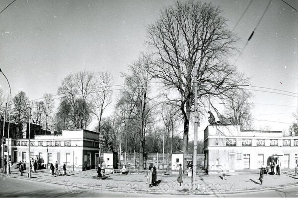 Погоня за трусами и мангабей в фуфайке: о чём писали газеты 35 лет назад