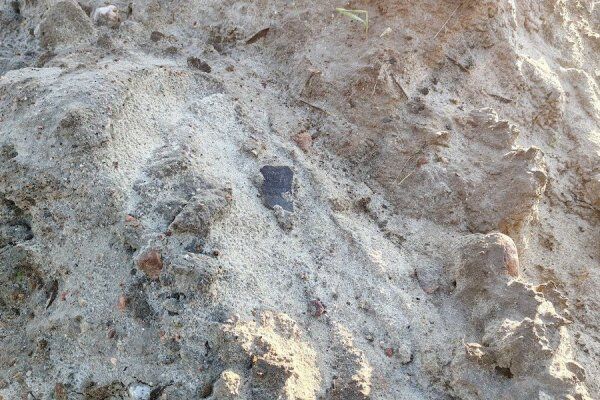 Археологи: велодорожка «От косы до косы» прошла по древним могильникам