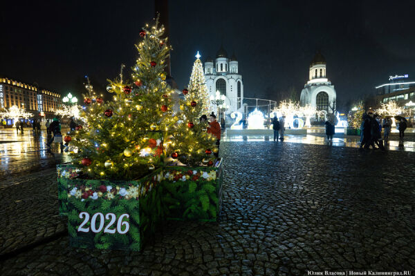 Вечерний@Калининград: новогодние гуляния, ёлочные базары и «Маяки»