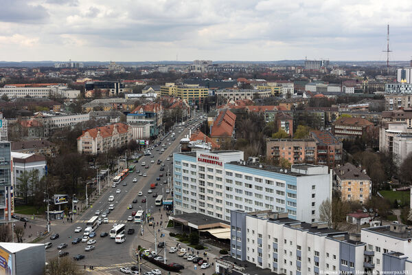 TelecomDaily: «Билайн» — лидер по качеству голосовой связи в Калининграде