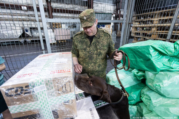Авиа вместо ж/д: как теперь отправляют посылки из Калининградской области сервисы доставки