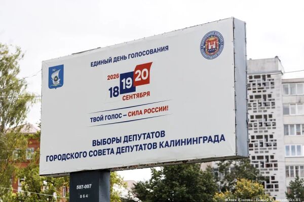 Найди кандидата: кто баллотируется в Горсовет Калининграда по округам № 1-15