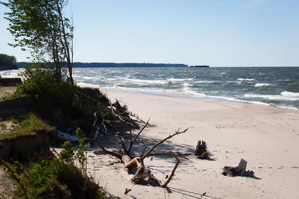 Проект для путепровода в Сокольниках разрабатывают по заказу компании Качановича