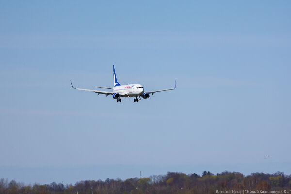 Вечерний@Калининград:  призрачные субсидии, собачья жизнь и палитра прошлого