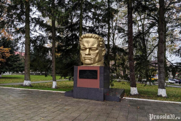 Вода цвета кофе и «голова Шварценеггера»: о чем рассказали губернатору в Мамоново