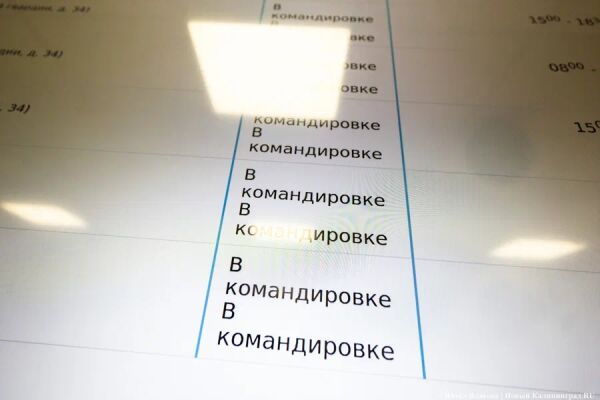 Калининградцы жалуются на тысячные очереди к врачам узких специальностей
