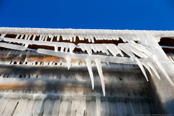 Вечерний@Калининград: угроза сосулек, дело экс-ректора и керлинг на озере