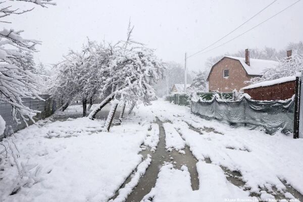В области утвердили стоимость квадратного метра жилья на сельских территориях