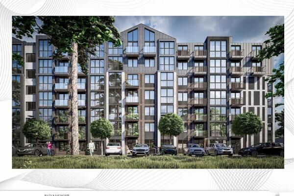 Облвласти разрешили построить жилой дом на месте соснового бора в Светлогорске 
