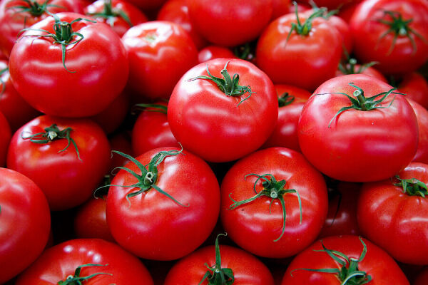 Восхождение помидоров: как изменились цены на продукты в Калининграде за месяц