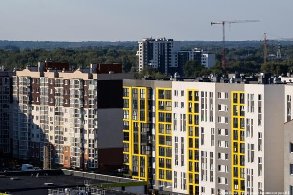 В Калининграде назвали среднюю стоимость квадратного метра жилья в 2025 году