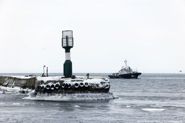 Редкое явление: океанолог о последствиях понижения уровня воды в Балтийском море