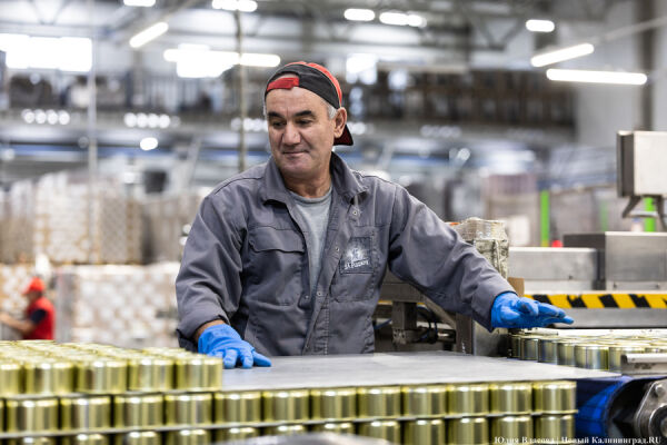 Монтажник, наладчик и технолог-дегустатор: топ вакансий недели 