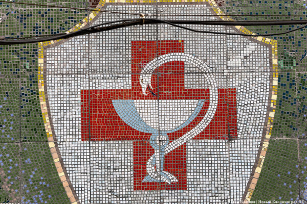 Контроль Генпрокуратуры: что происходит в регионе с лекарствами для льготников