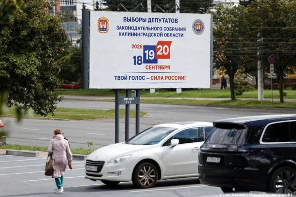 Домохозяин, студент, безработный и прочие: кто баллотируется в Заксобрание области