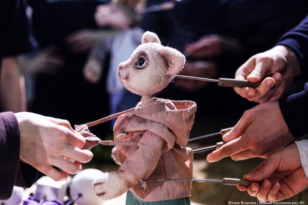 «Театральная кукла»: в РГИСИ на Острове стартовал «Большой дебют»